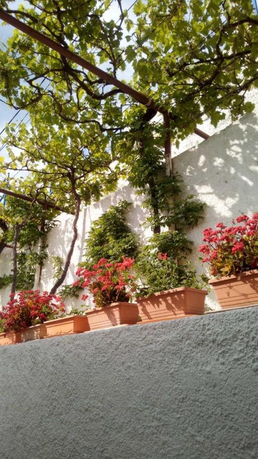Milojka Daire Senj  Dış mekan fotoğraf