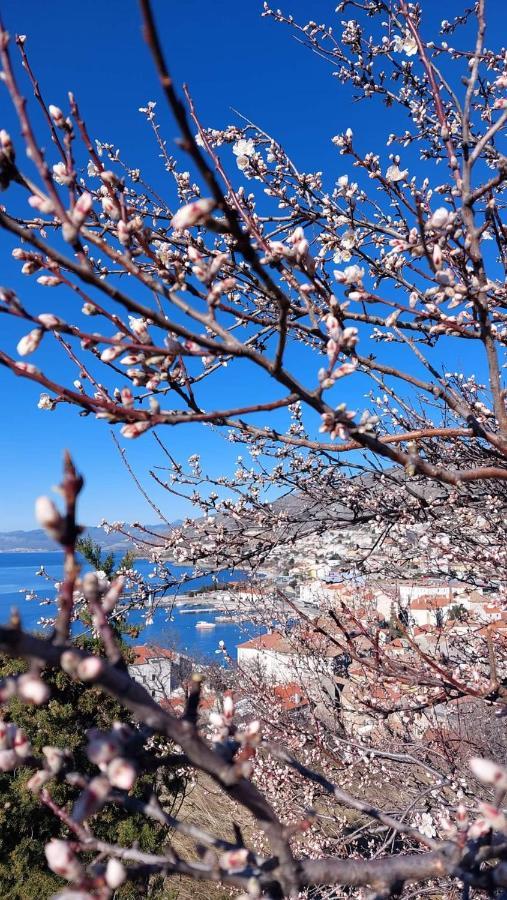 Milojka Daire Senj  Dış mekan fotoğraf