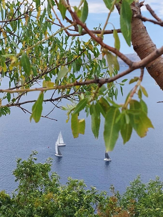 Milojka Daire Senj  Dış mekan fotoğraf