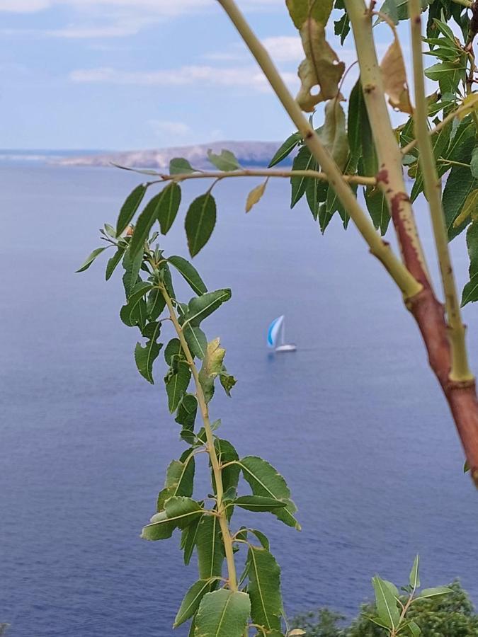 Milojka Daire Senj  Dış mekan fotoğraf